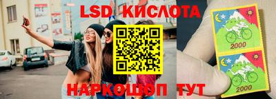 молекула духа Новокубанск