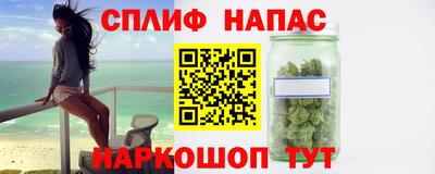 тгк Новозыбков