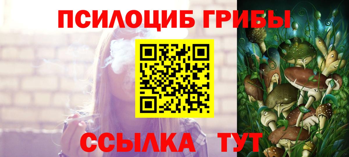 Галлюциногенные грибы прущие грибы  Галлюциногенные грибы Psilocybe  Урюпинск  купить   Вход с VPN 